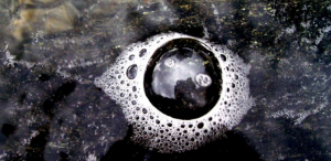 Bubble on water surface