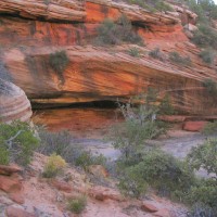 red sandstone rock formations in Zion Park