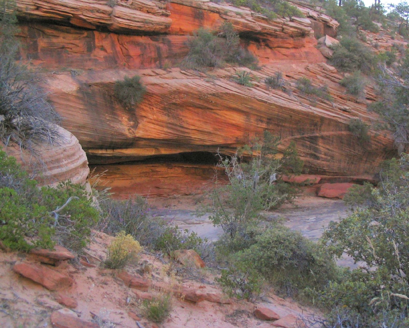 red sandstone rock formations in Zion Park