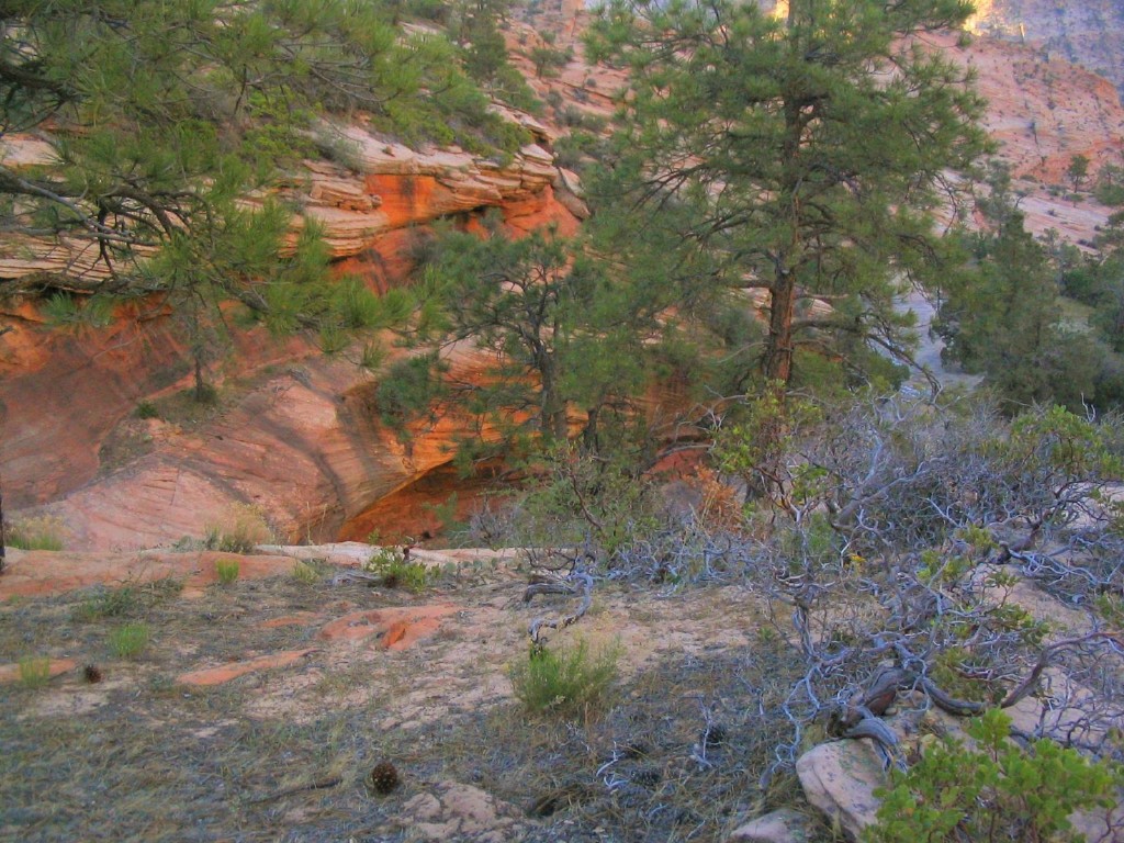Canyon in Zion ©Maureen Shaughnessy 2006