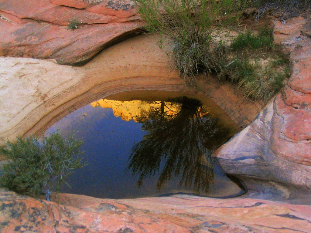 Pool in Canyon with Reflection