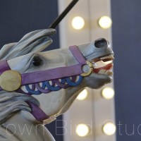 White carousel horse