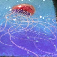 Jellyfish by Maureen Shaughnessy