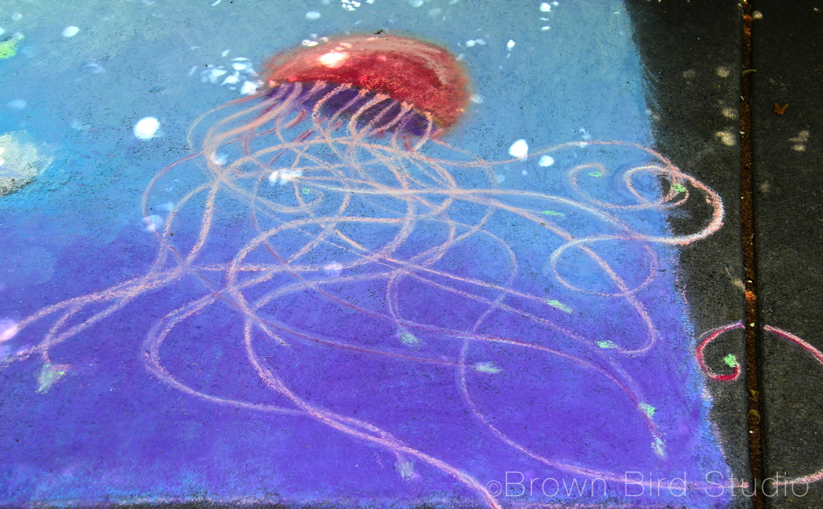Jellyfish by Maureen Shaughnessy
