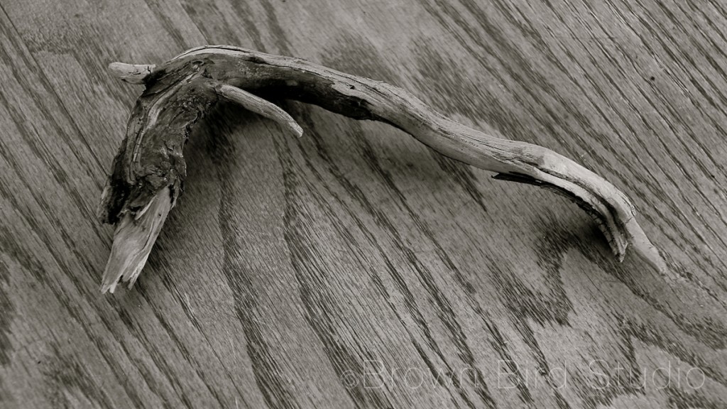 Driftwood Root