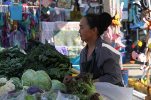 Hmong Farm Vendor