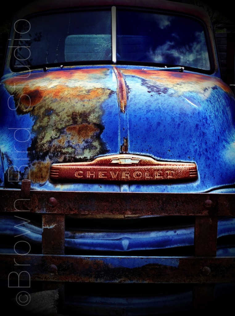 Blue Chevy Map of Earth ©Maureen Shaughnessy