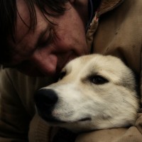 Bond between Dog and Human