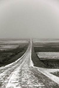 Lonely Prairie Road near Simms