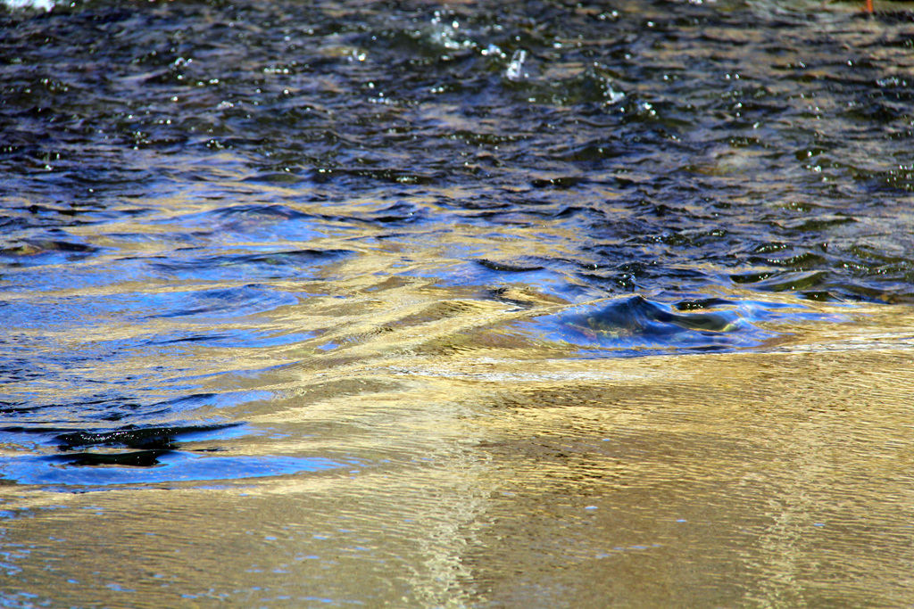 Afternoon River Reflections