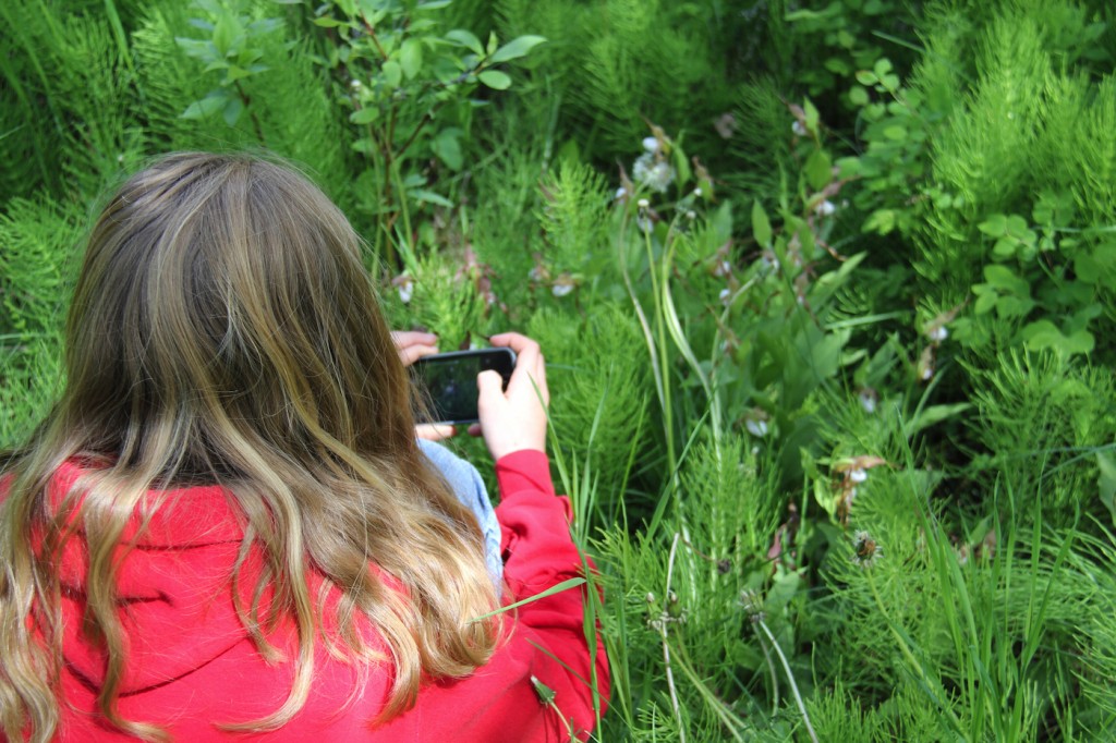 Documenting our Discovery of Ladyslipper Orchids